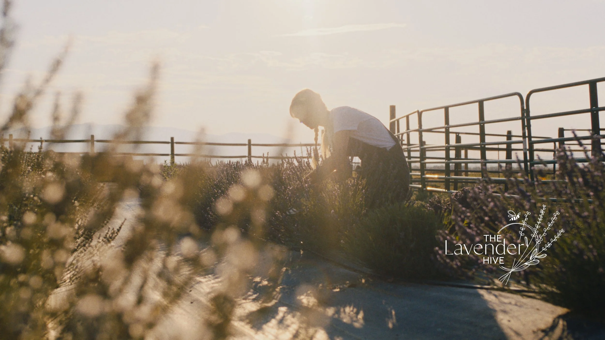 The Lavender Hive | Social Media
